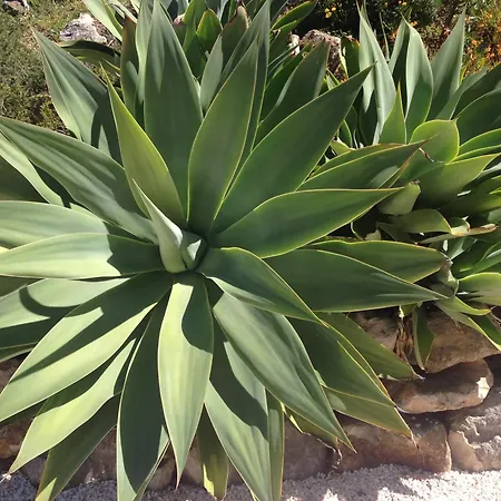 Casa Santana - Heated Pool ヴィラ *