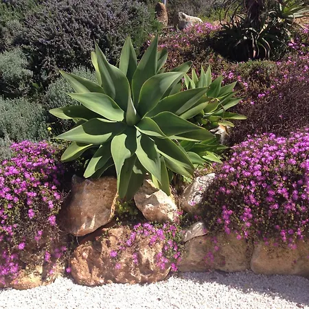 Villa Casa Santana - Heated Pool Lagos